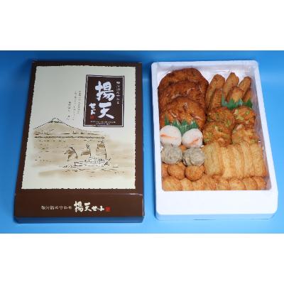 ふるさと納税 静岡市 魚肉練製品　駿河詰合せ揚げ天セット