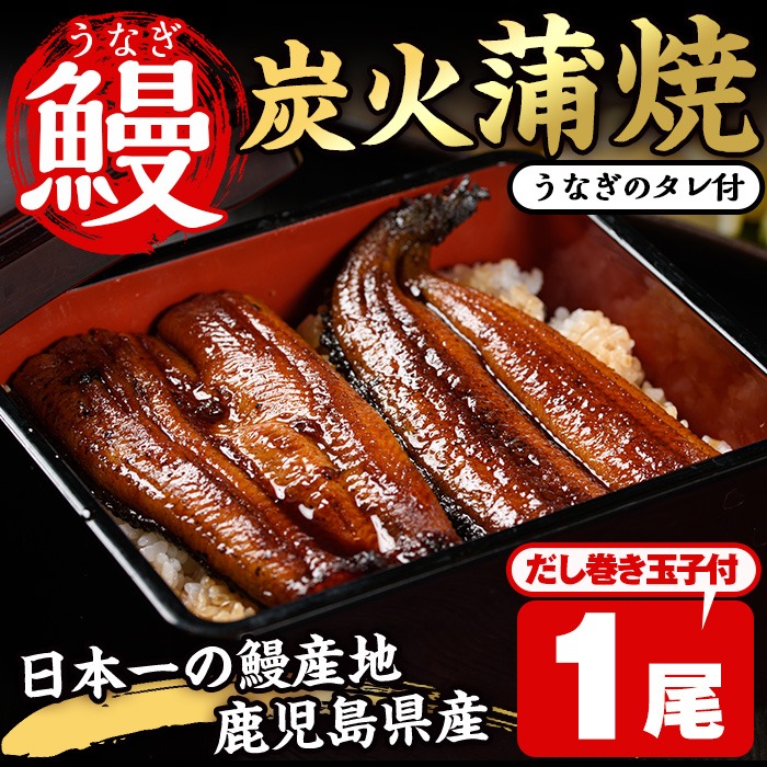 No.310 鹿児島県産うなぎの炭火蒲焼(1尾・タレ付)と自慢の出汁巻き卵1本付！ 国産 九州産 鰻 ウナギ うな重 うな丼 蒲焼 卵焼き 出汁巻き 炭火焼 おかず お土産 セット 冷凍【家むら】