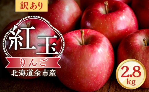 【先行予約：2026年10月中旬より発送】訳アリ りんご（紅玉）2.8kg【北海道余市町産】