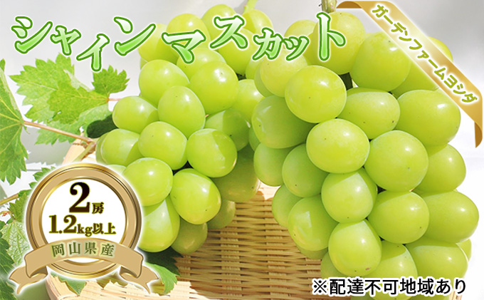 【2026年先行予約】 ぶどう 岡山県産 シャインマスカット 1.2kg以上(2房)《2026年9月上旬-下旬頃出荷》 葡萄 ブドウ 岡山県産 フルーツ 果物 数量限定 期間限定 岡山 里庄町 ブドウ 果物類