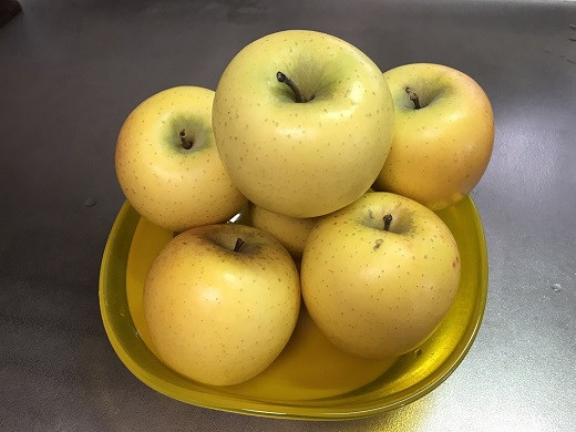 
            J1127 長野市産 シナノゴールド3kg(7玉～12玉入り) 信濃の味 先行予約【2025年10月下旬頃より発送予定】
          