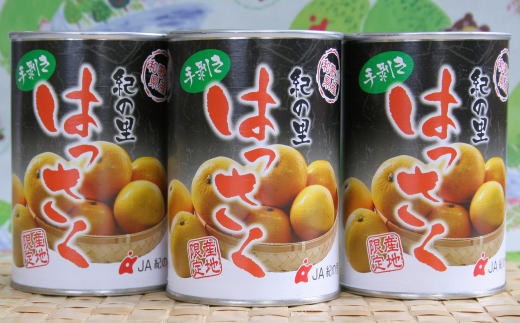 和歌山産手剥き八朔缶詰450g×8缶入り 【tec912B】