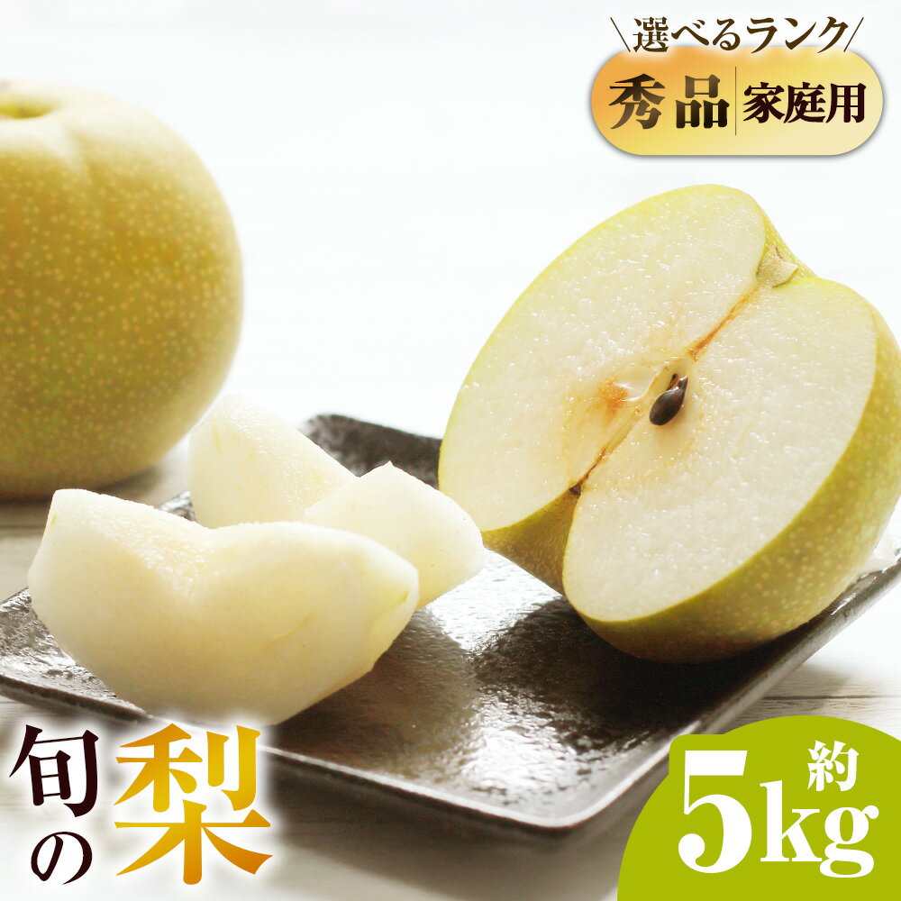 【ふるさと納税】【選べる秀品・ご家庭用】九重町産梨 詰め合わせ 約5kg（約11個～16個）梨 ナシ フルーツ 果物 くだもの 幸水 豊水 あきづき なつのしずく ギフト 贈答 冷蔵 大分県 九重町 送料無料