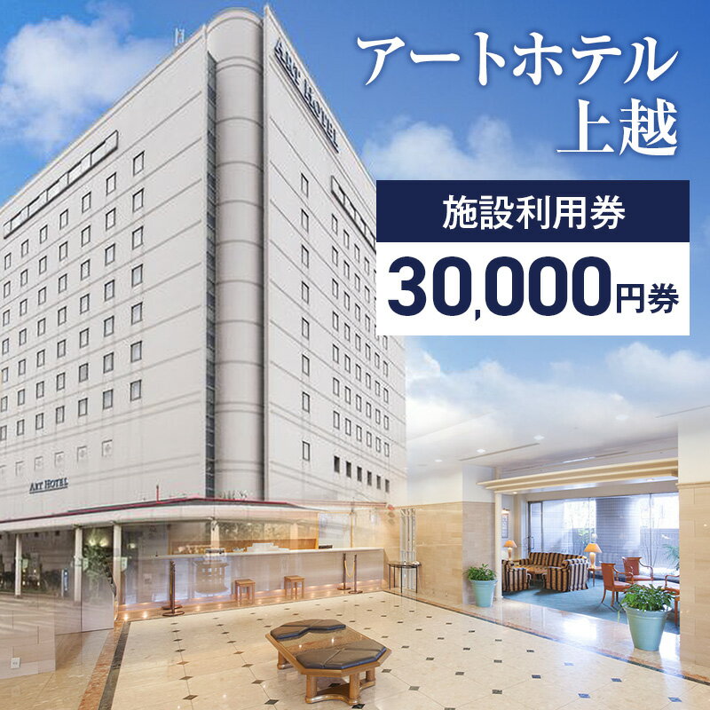【ふるさと納税】アートホテル上越施設利用券【30,000円券】1枚