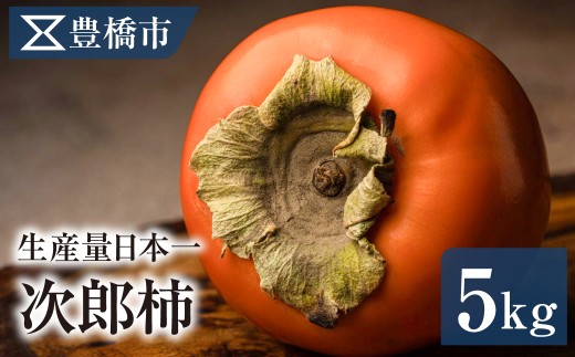 《先行予約》 柿 5kg 豊橋市産 次郎柿 正品 大一青果 産地直送 かき くだもの 果物 フルーツ 愛知県 柿 5kg 柿 5kg 柿 5kg 柿 5kg 柿 5kg 柿 5kg 柿 5kg 次郎柿 5kg 次郎柿 5kg 柿 産地直送 柿 産地直送 柿 先行予約 柿 先行予約 正品 正品 次郎柿 5kg 柿 産地直送 柿 先行予約 次郎柿 5kg 柿 産地直送 柿 先行予約 正品 柿 産地直送