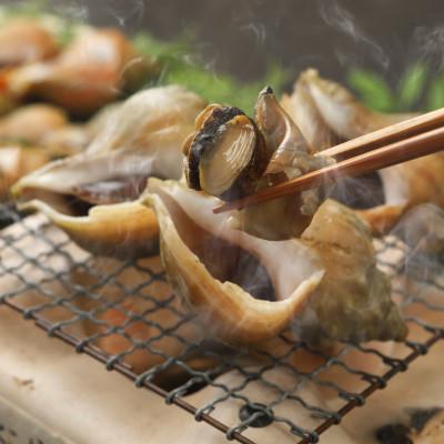 ふるさと納税 稚内市 小林さん家の宗谷岬産つぶ煮　2kgセット