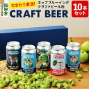 【ふるさと納税】【できたて直送！】クラフトビール缶 10本セット(5本セット×2箱)【ホップドッグブルーイング】