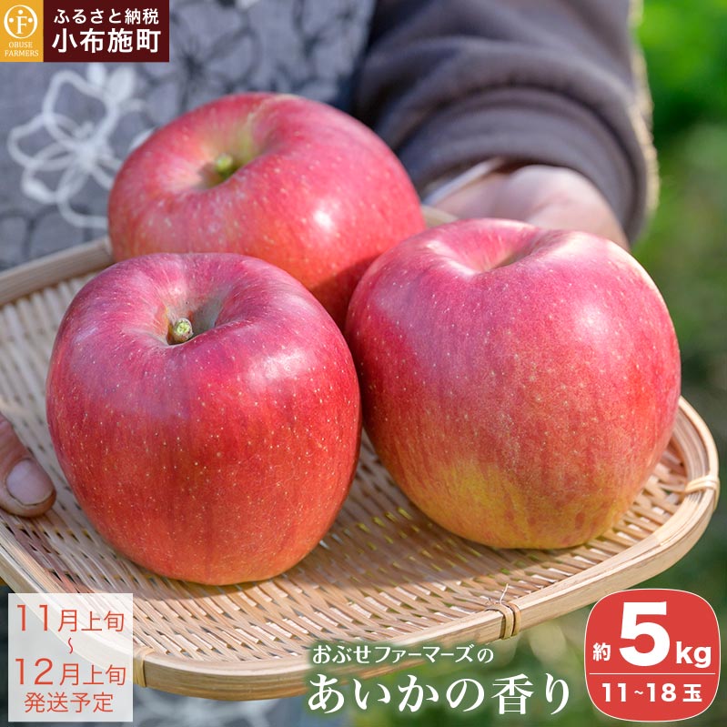 【ふるさと納税】 あいかの香り 約5kg 11～18玉 ［おぶせファーマーズ］ りんご 林檎 リンゴ 果物 フルーツ 長野県産 信州産 先行予約 数量限定 令和7年産 【2025年11月上旬～12月上旬発送】