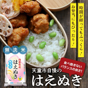 【2026年2月上旬発送】令和7年産 はえぬき 無洗米 10kg 米 山形 天童 07-01-160-02A