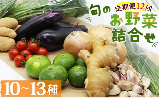 
                  【12ヶ月】定期便 野菜 詰め合わせ 高知県香南市産 旬のお野菜詰合せ(10～13品目) - 野菜 定期 国産 野菜 やさい 詰め合わせ セット 年間 1年 12か月 新鮮 旬 冷蔵発送 ていきびん 12 12ヶ月 12回 おまかせ セット 土佐野菜 新鮮 高知県 香南市 野菜定期便 12回 Wpr-0010
                