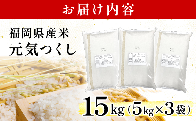 令和６年産 福岡県産米 元気つくし 15kg 精米 CY013