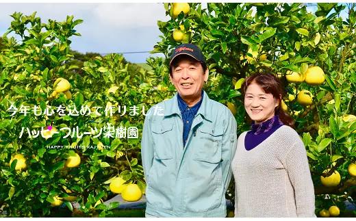 ハッピーフルーツ果樹園 土佐文旦 9kg (3kg × 3箱) 家庭用
