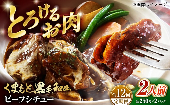 
                  【全12回定期便】 熊本県産 くまもと黒毛和牛 こだわりのビーフシチュー 計2パック （約250g×2パック） ビーフシチュー ビーフ シチュー 牛肉 肉 【有限会社スイートサプライなかぞの】 [ZBV110]
                