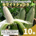 【ふるさと納税】［2024年出荷先行予約］もぎたてとうもろこし白色10本【十勝幕別 北海道ホープランド農場】　野菜・とうもろこし　お届け：2024年9月上旬～2024年9月下旬