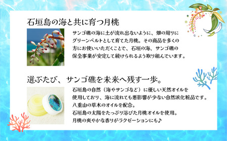 幸－美彩－さちちゅらいろ 月桃バーム（10g）OA-01