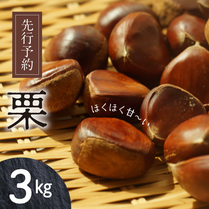 【ふるさと納税】先行予約 栗 3kg 国産 甘い 生栗 秋 旬 和 旬の栗 秋の味覚 栗ご飯 料理 お菓子作り 和菓子 栗きんとん おやつ スイーツ マロン 果物 食品 冷蔵 冷凍 保存 宮崎県 延岡市 お取り寄せ 送料無料