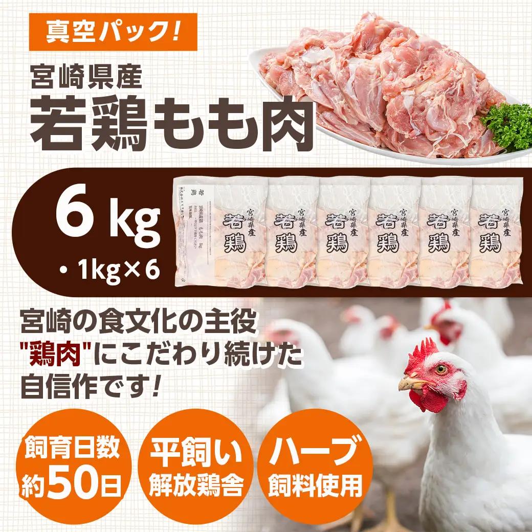 鶏肉 宮崎県産若鶏 もも肉(6kg)〔19-G3-011-6kg〕鶏肉