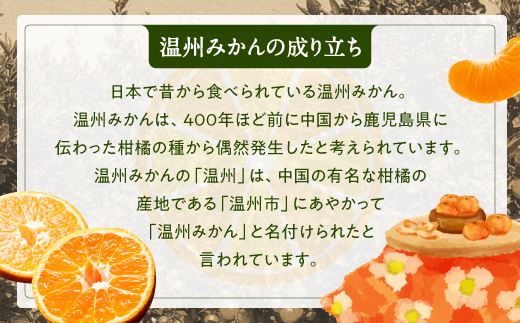 AA074.温州みかん（5kg程度）／2024年11月～2025年1月配送
