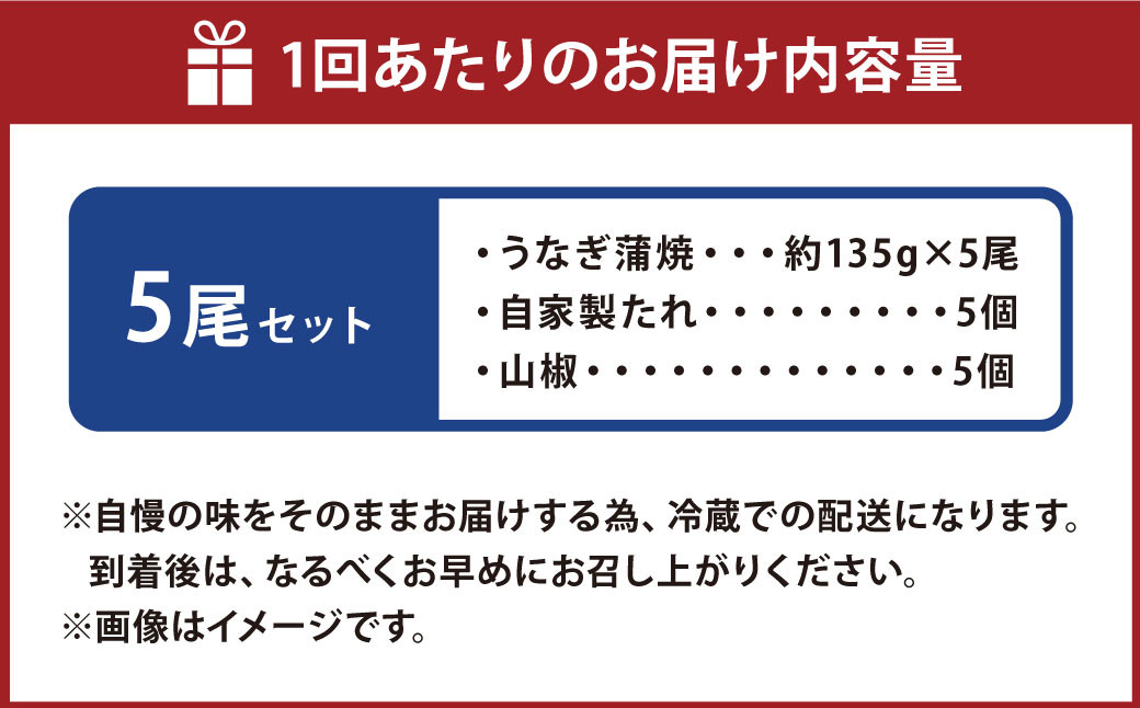 【3ヶ月定期便】 蒲焼きうなぎ 5尾 （国産）