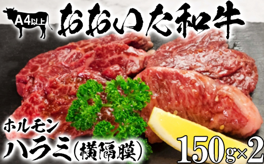 おおいた和牛ホルモン（ハラミ 150g×2） 【ニード牧場】 牛ハラミ肉 ＜129-022_6＞