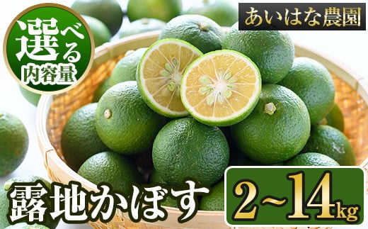 ＜内容量が選べる＞＜先行予約受付中！2025年8月上旬～2026年2月下旬ごろ順次発送予定＞露地カボス(約2～14kg) かぼす カボス 柑橘 特産品 大分県産【107100101】【あいはな農園】