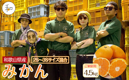家庭用 森本農園の手選別 小粒みかん 約4.5kg 和歌山県産 2S・3Sサイズ混合 ［北海道・沖縄・離島配送不可］［2025年11月上旬から順次発送］［RN60］