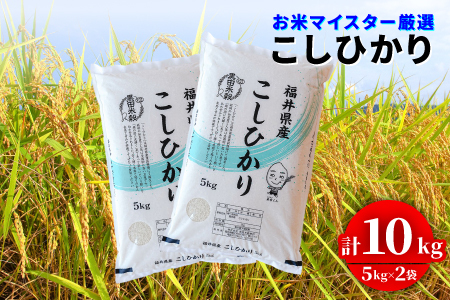 【令和7年産】コシヒカリ 10kg（5kg ×2袋）お米 ごはん