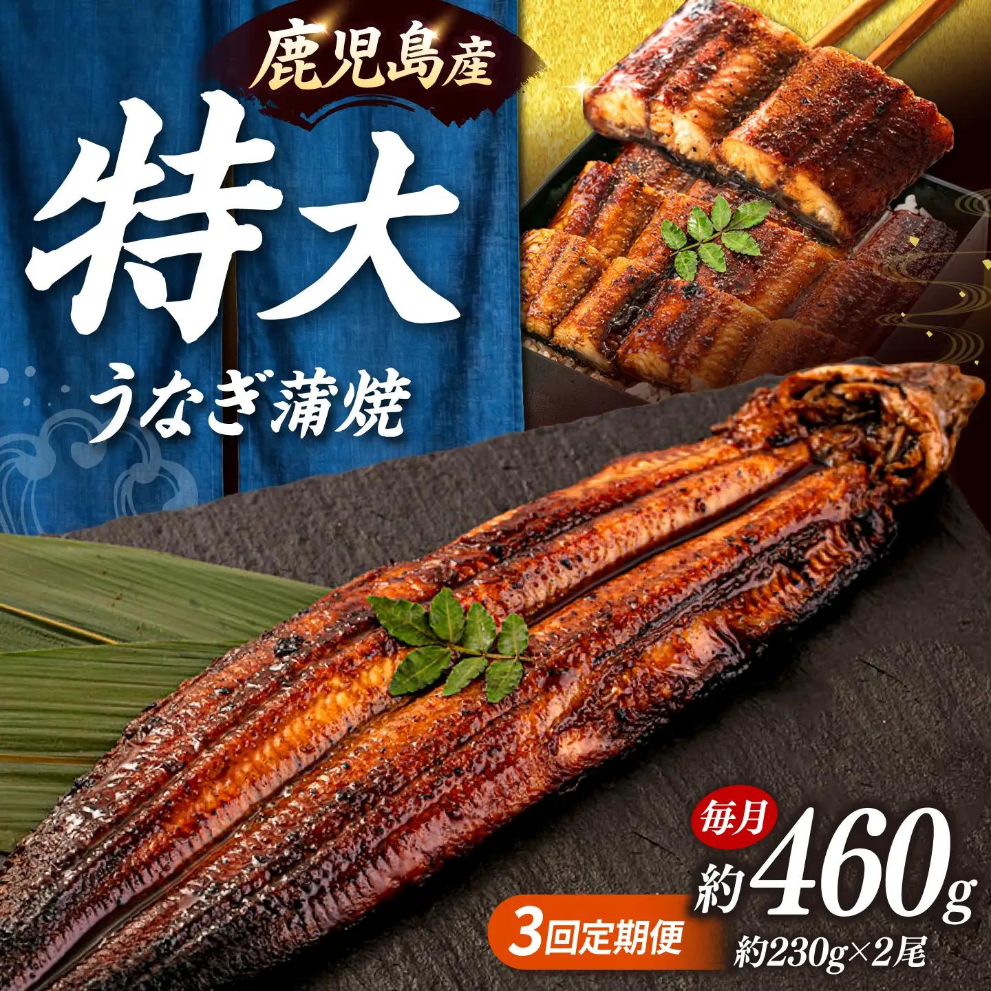 全3回定期便 特大！ 鹿児島産うなぎ 蒲焼2尾セット 桂川町/山水商事 [ADAH012] ウナギ 鰻 うなぎセット 特大鰻 定期便 特大