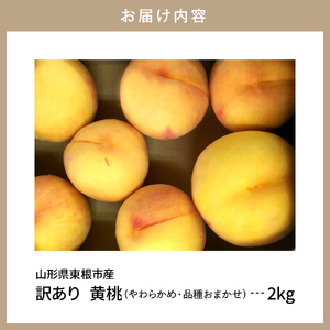 【2026年産】黄桃 品種おまかせ 訳あり2kg(やわらかめ) 松栗提供 山形県 東根市 hi062-064　（山形県 東根市 東北 果物 フルーツ くだもの もも 桃 黄桃 ピーチ 訳アリ 品種おま