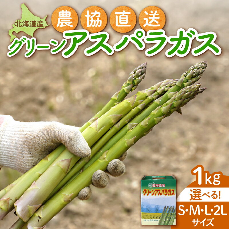【ふるさと納税】【2026年発送先行受付】北海道産グリーンアスパラ 選べるサイズ(S~2L) 1kg(500gx2袋) 産地直送 | 野菜 旬 とれたて お取り寄せ 小分け 保存 北海道 滝川市