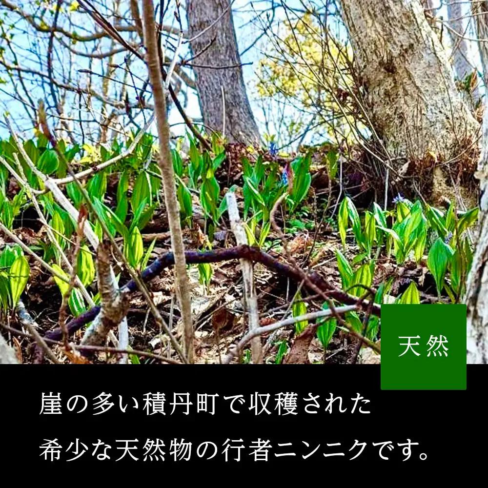 天然物！！ 積丹産 行者ニンニク 醤油漬け 150g アイヌネギ 山菜 積丹 北海道 天然 カムイ ギョウジャ 瓶