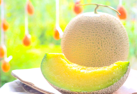 B-927 益田産アールスメロン 夏作 3~5玉