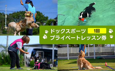 ドックスポーツ プライベートレッスン券（１回/１時間） ふるさと納税 ドッグスポーツ 利用券 チケット 犬 イヌ 千葉県 白子町 送料無料 SHAI001