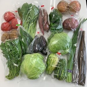 かすみがうら市産　季節の野菜セット15種　計約5kg【配送不可地域：離島・沖縄県】【1117815】