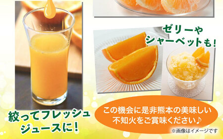 【先行予約】不知火 約5kg【くまふる】[ZBG010]