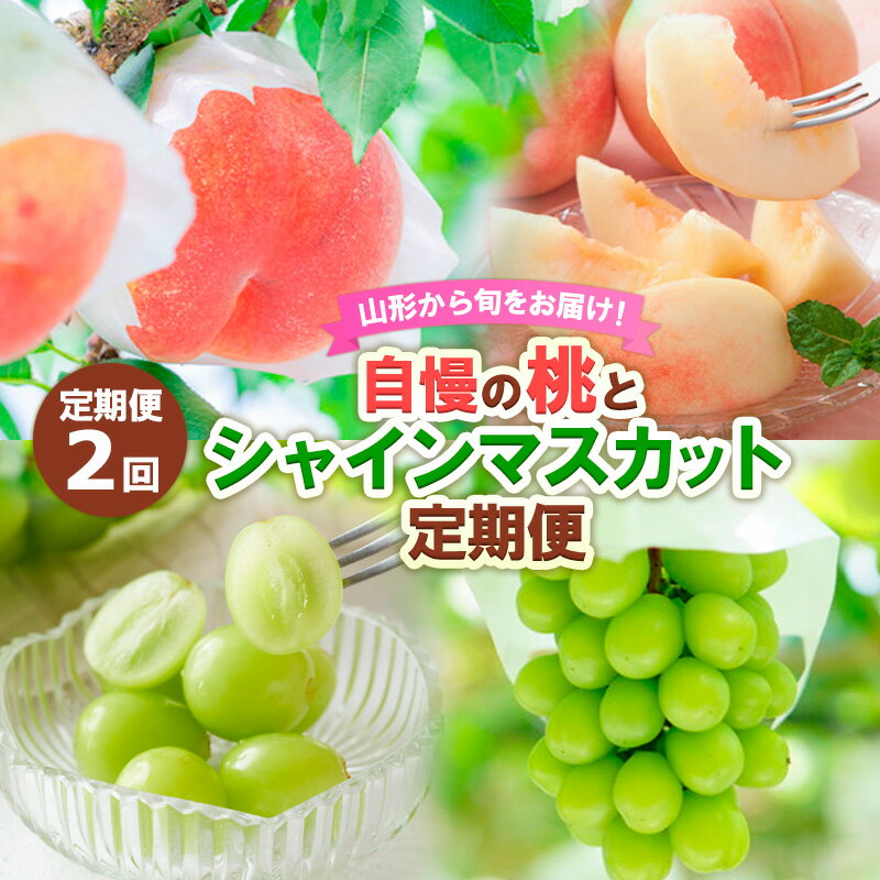 【ふるさと納税】【定期便2回】山形から旬をお届け！自慢の桃とシャインマスカット定期便 【令和7年産先行予約】FS24-501 くだもの 果物 フルーツ 山形 山形県 山形市 お取り寄せ 2025年産