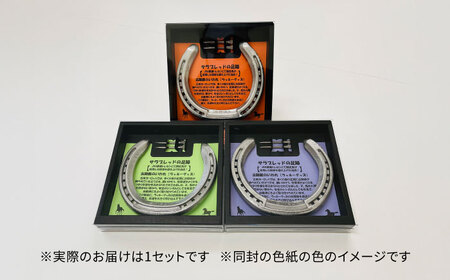 【JRA/日本中央競馬会】競走馬が使用した蹄鉄と蹄釘のセット BICB001 競馬