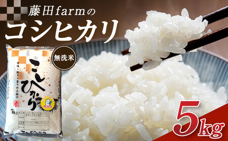 【寄附額を見直しました！】令和7年産 大田原市 藤田farmのコシヒカリ 【無洗米】 5kg ｜栃木県産 米 お米  コメ こしひかり コシヒカリ 栃木県 【選べる容量】5kg 10kg  数量限定