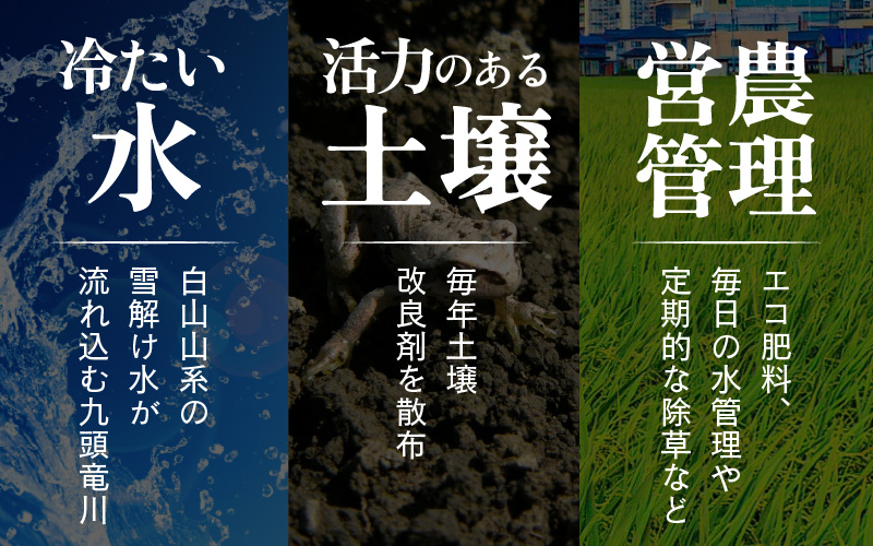 【先行予約】【令和8年産 新米】【一等米】《定期便3回》エコ栽培コシヒカリ 白米10kg（5kg×2袋）計30kg ／ 鮮度抜群 福井県産 こしひかり ご飯 新鮮 白米 ※2026年10月上旬以降順次