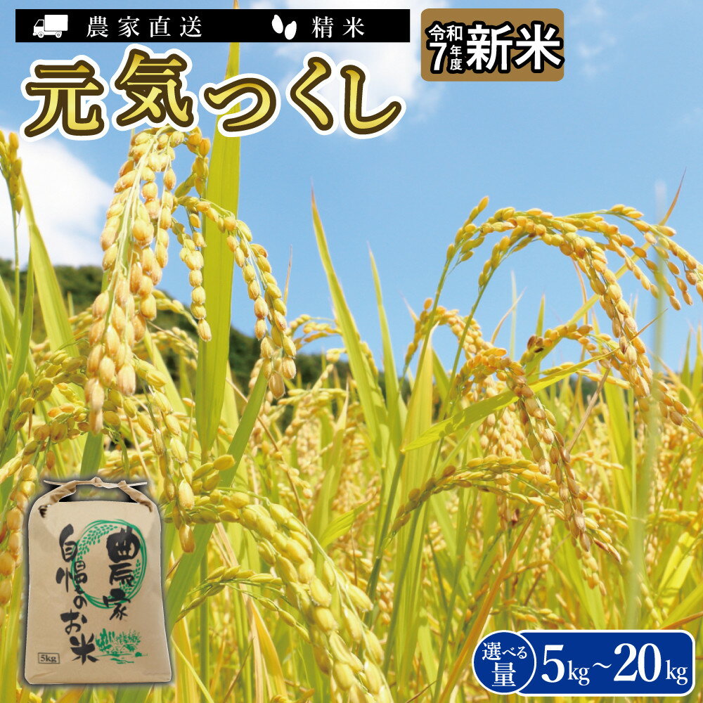 【ふるさと納税】＼令和7年産 ／ 福岡県大川市産 ブランド 米 元気つくし ≪容量選択可能≫ 5kg 10kg 15kg 20kg | お米 米 こめ 精米 白米 5kg袋 ライス ブランド米 ごはん ご飯 ふるさと納税 大川市