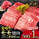 【ふるさと納税】【容量が選べる】宮崎牛 モモ 焼肉 ・宮崎県産 黒毛和牛 こま切れ セット 合計500g～1kg ミヤチク 赤身 日本食肉格付協会 格付基準 A5等級 A4等級 お肉 牛肉 肉 精肉 精肉セット お肉セット 国産牛 食品 畜産物 宮崎県 宮崎市 送料無料 お肉