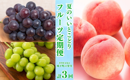 【全3回】フルーツ定期便「丸亀市夏のいいとこどり定期便」～少人数～ ﾌﾙｰﾂﾌﾙｰﾂﾌﾙｰﾂﾌﾙｰﾂ 定期便定期便