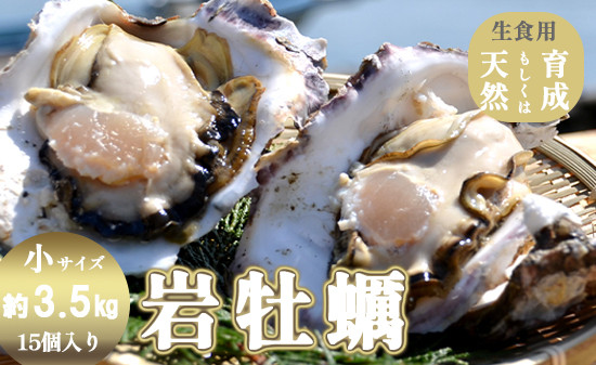 
                  訳あり 岩がき 生食用 小サイズ 15個入 3.5kg前後 天然 養殖 牡蠣 冷蔵 期間限定 京都 舞鶴
                