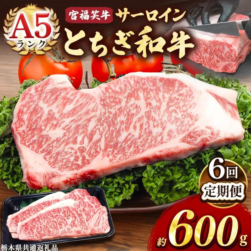 【定期便6回】宮福笑牛(とちぎ和牛) A5 サーロインステーキ 約200gx3枚 【栃木県共通返礼品（栃木県産）】