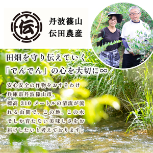 有機JAS認定 丹波篠山黒枝豆 手選別 2kg 丹波篠山 黒枝豆 黒豆 丹波枝豆 丹波黒大豆枝豆 安全・安心 有機栽培 無農薬 有機JAS 新鮮 枝豆 豆 おつまみ 晩酌 黒枝豆 [DDN12]