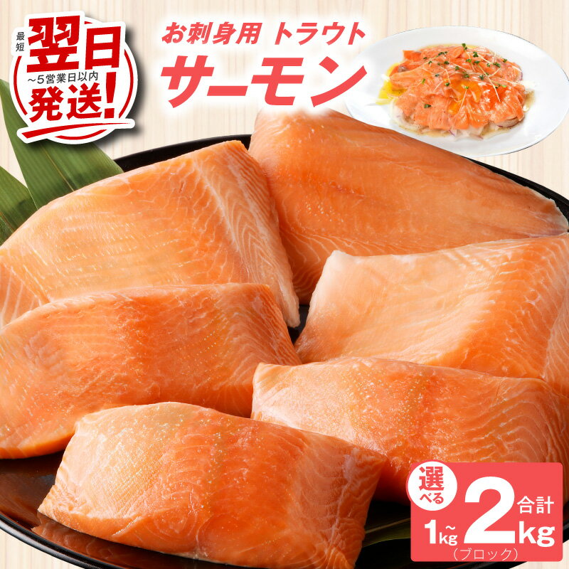 【ふるさと納税】最短翌日発送 訳あり お刺身用 サーモン 数量限定 1kg / 2kg ブロック 小分け 約250g × 4P / 8P ポーション 柵 サイズ不揃い 鮭 トラウトサーモン 刺身 寿司 海鮮丼 生食 ソテー ムニエル 魚介類 魚 冷凍 5営業日 発送月 大阪府 泉佐野市 送料無料