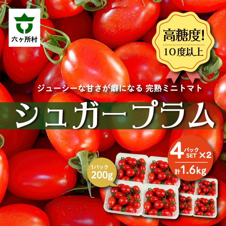 【ふるさと納税】青森県六ヶ所村産トマト シュガープラム 1.6g（200g×8P） 野菜 国産 ミニトマト サラダ パスタ 旬 新鮮 甘い グルメ お取り寄せ ギフト 訳あり お歳暮 返礼品 六ヶ所村 青森 送料無料 【あおもり花工房】