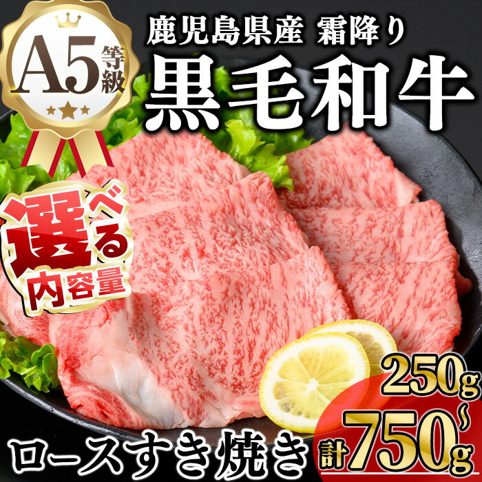 【ふるさと納税】＜内容量が選べる！＞鹿児島県産A5等級黒毛和牛霜降りロースすき焼き用 (計250g〜750g) 国産 鹿児島県産 牛 黒毛和牛 A5 冷凍 ロース スライス すき焼き【KNOT】