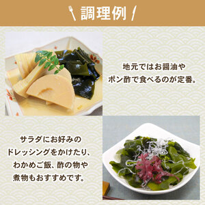 早採り 塩蔵わかめ 若芽っこ 500g×2袋 (計1kg) 海鮮 海藻 わかめ ワカメ 贈答品 贈答用 魚貝類 魚介類 みそ汁 スープ 酢の物 小分け 三陸産 岩手県 大船渡市