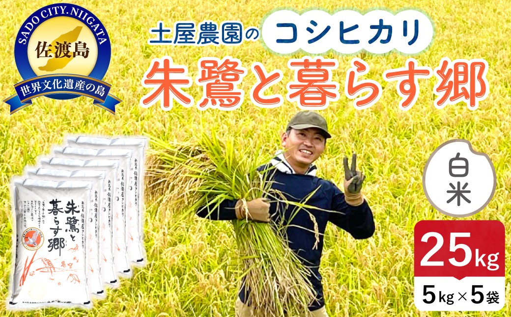 
                  佐渡島産コシヒカリ 白米 25kg（5kg×5袋） 令和7年産 特別栽培米 土屋農園 | 新潟県産コシヒカリ 新潟産コシヒカリ 佐渡産コシヒカリ 新潟県産こしひかり 佐渡産こしひかり お米 米 こしひかり 白米 精米 おこめ コメ 25キロ にいがた さど 新潟県 佐渡市
                